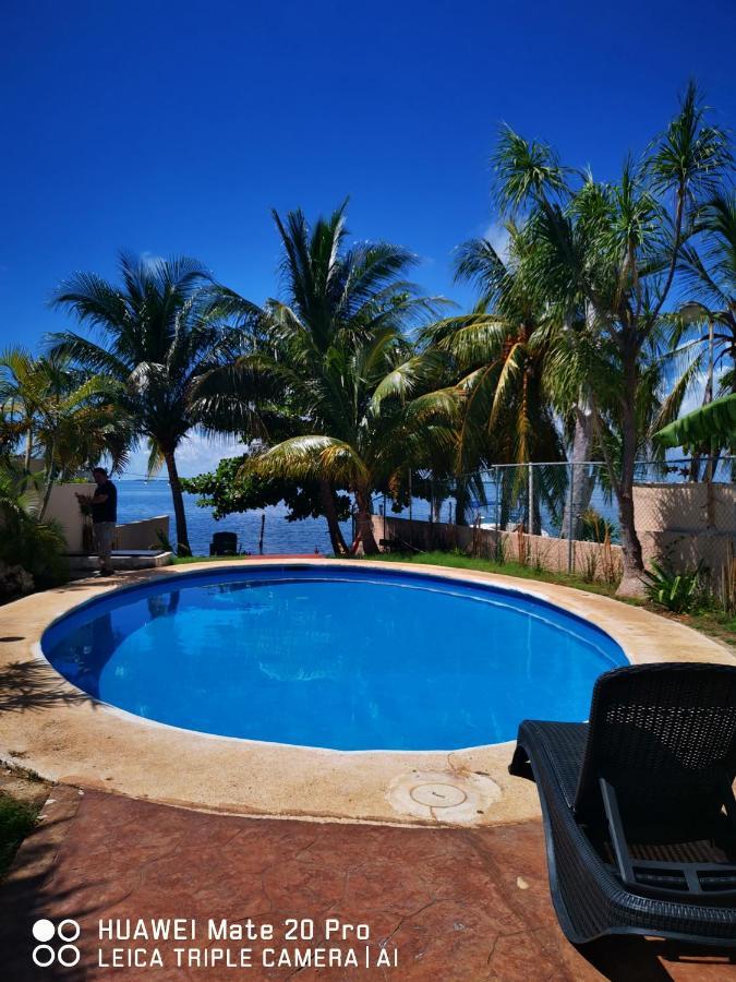 Hermoso Studio Con Alberca Zona Hoteles Cancun カンクン エクステリア 写真